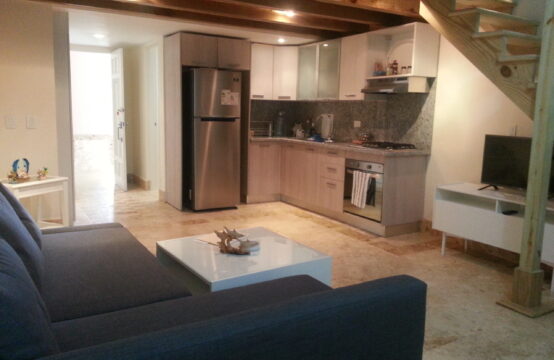 APARTAMENTO TIPO MEZANNINE, TERCER NIVEL, VISTA JARDIN No 533