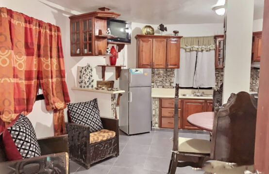 APARTA ESTUDIO AMUEBLADO EN LA CALLE PRINCIPAL DE BOCA CHICA